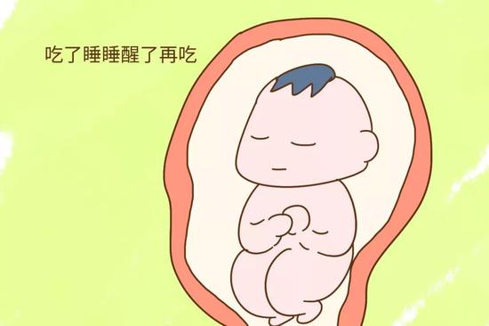 “吃了睡、睡醒了接着吃”